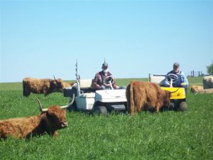 Read more about the article A conservation success story: the Grotberg Farm