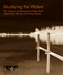 muddying_the_waters