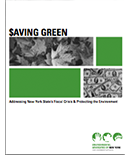 Read more about the article Saving Green: Addressing New York State’s Fiscal Crisis & Protecting the Environment (November, 2008)