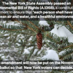 NYS Assembly Passes an “Environmental Bill of Rights”